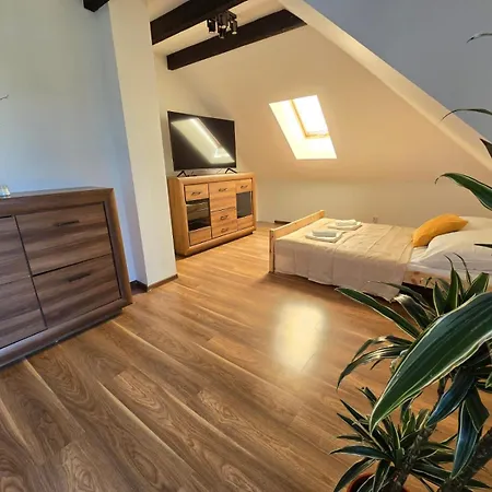 Apartament Cynkowa *